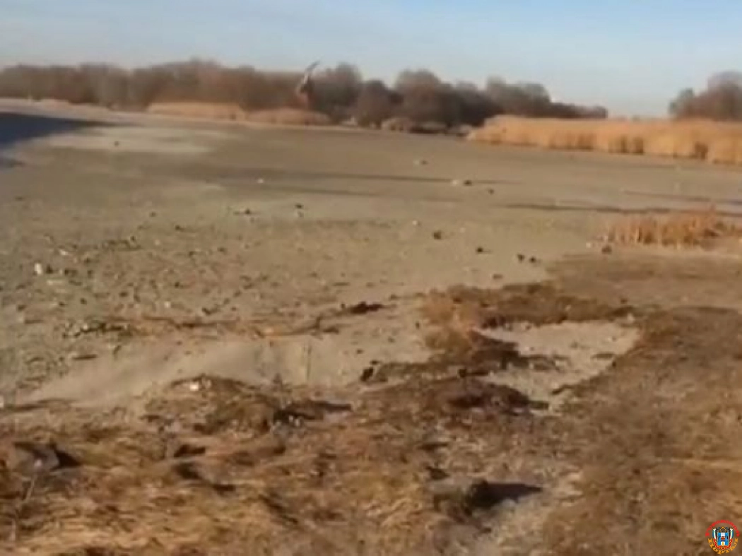 В Ростове из-за ураганного ветра обмелел Дон в Кумженской роще