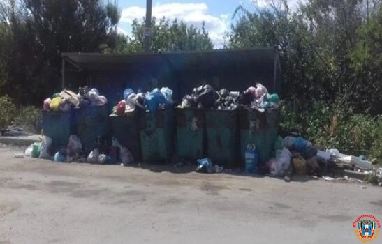 В Ростовской области люди жалуются на огромные свалки на улицах Новошахтинска