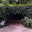 Вдыхайте аромат асфальта и выхлопов: ростовчан разозлил платный вход в Ботанический сад 3