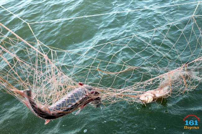 Рамовые сети для рыбалки на водоемах с течением