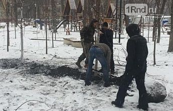 В ростовском парке «Осенний» деревья сажали в снег