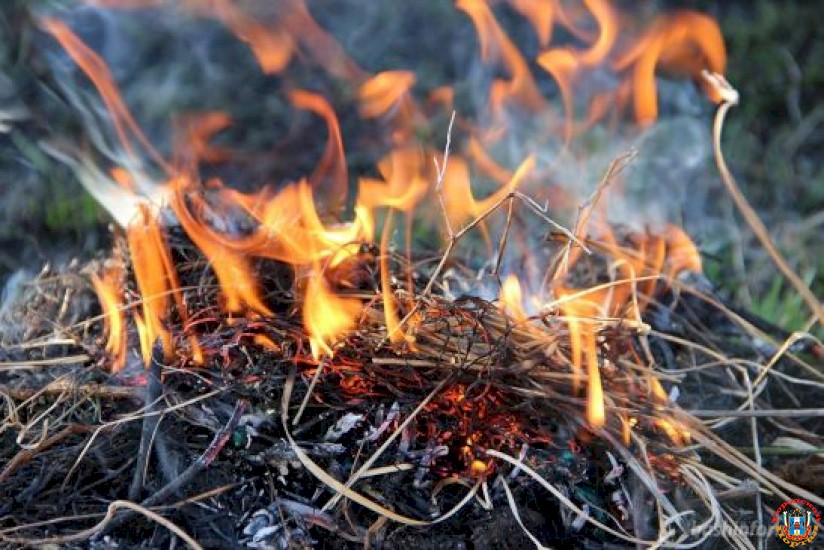 В Ростовской области прогнозируется чрезвычайная пожароопасность