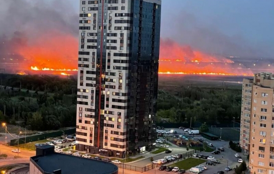 Природный пожар на левом берегу Дона в Ростове локализовали на 60 га