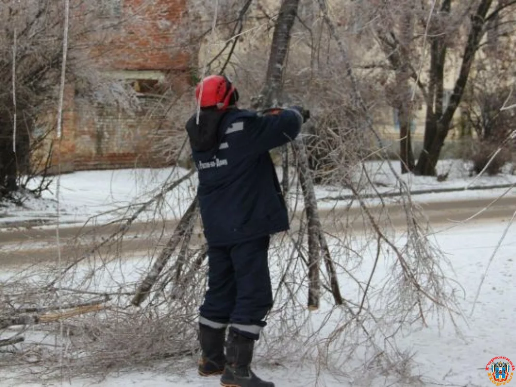 В Ростове три человека пострадали от падения обледеневших деревьев