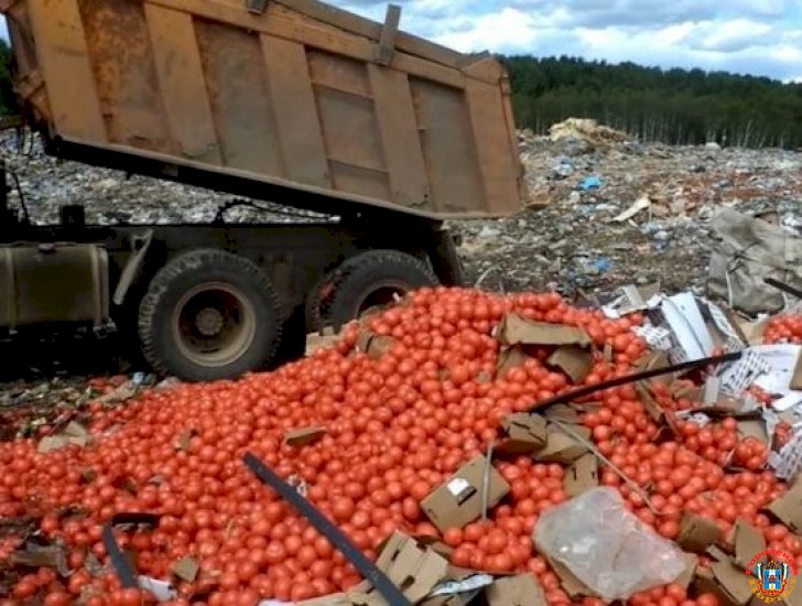 В Ростовской области уничтожили почти 20 тонн карантинных томатов