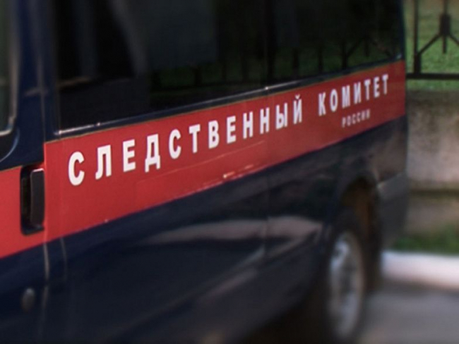 Дети без присмотра и в антисанитарных условиях: ростовские следователи проверяют информацию СМИ