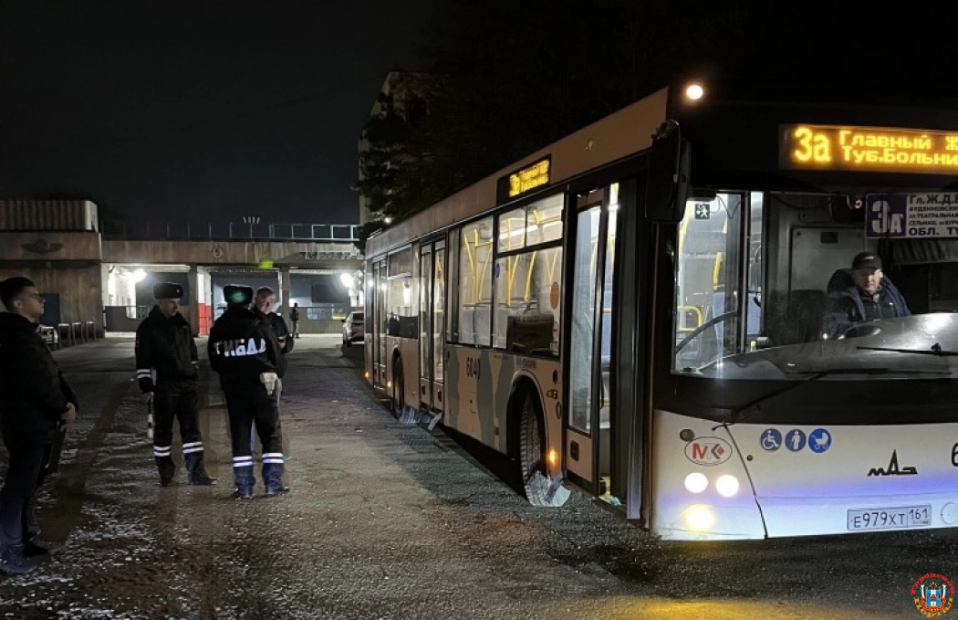 Власти Ростова нашли новые нарушения в работе автобусов