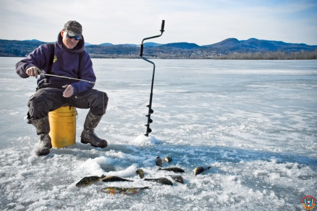 Зимняя рыбалка для начинающих
