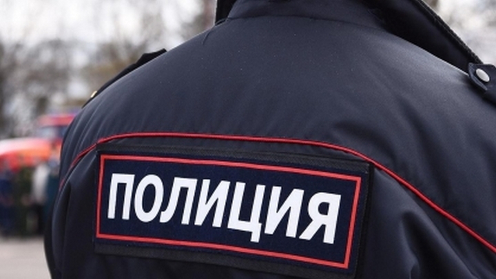 У сотрудницы Минздрава украли шубу за 200 тысяч рублей в московском кафе