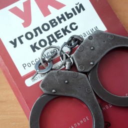 Насильник набросился на женщину, в одиночестве возвращавшуюся домой