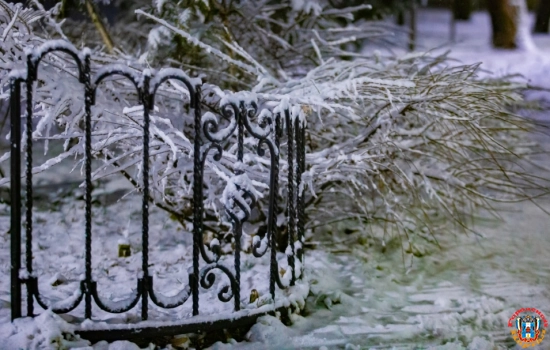 Сад снегу рад: как ростовчанам использовать капризы природы на пользу хозяйству