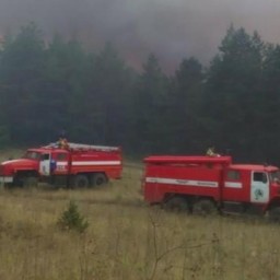 На севере Ростовской области сгорело около 42 гектаров леса