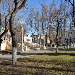 В первую неделю весны в Ростовской области воздух прогреется до +22 °С