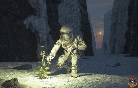 Для донских первоклассников в День космонавтики стартует проект «Космический грунт»