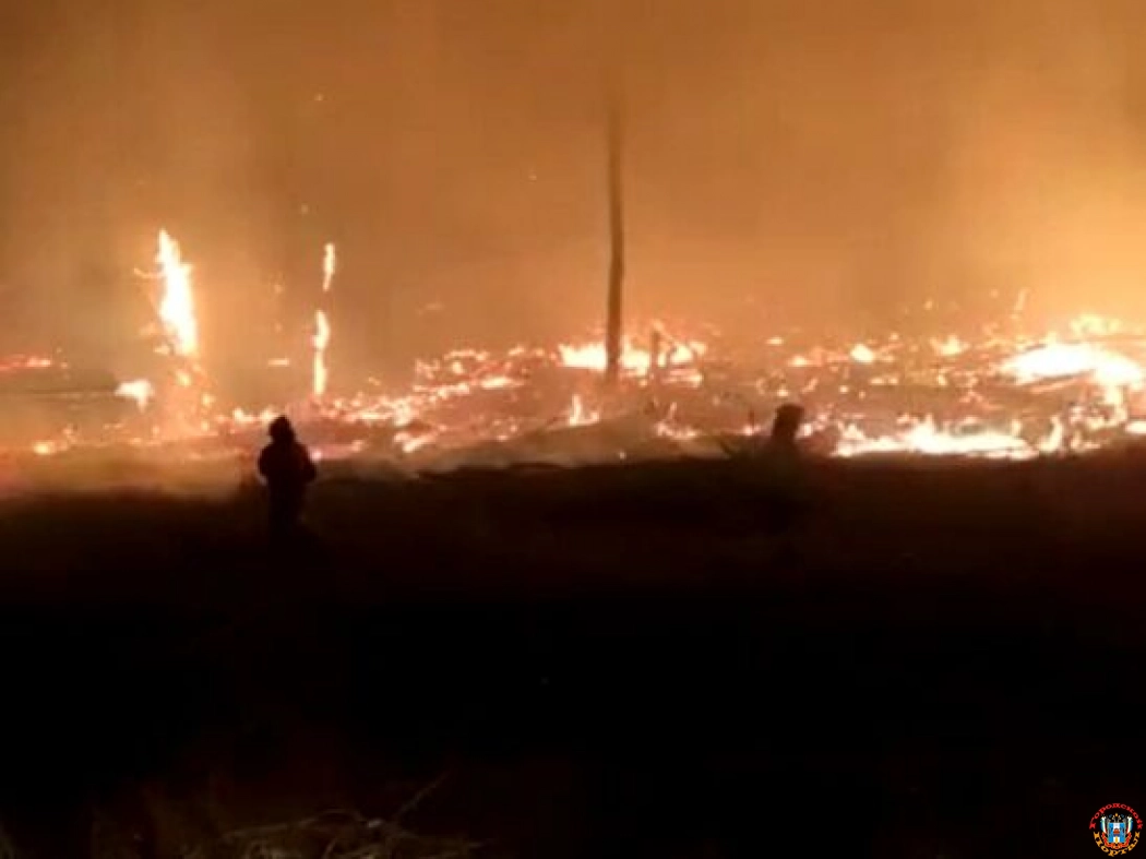 Крупный пожар в Каменском лесничестве тушат уже больше 16 часов