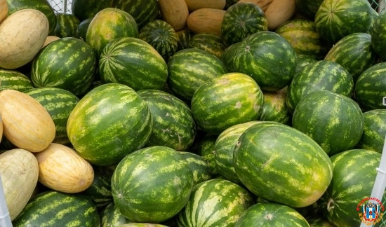 В Ростовской области пройдут ярмарки выходного дня