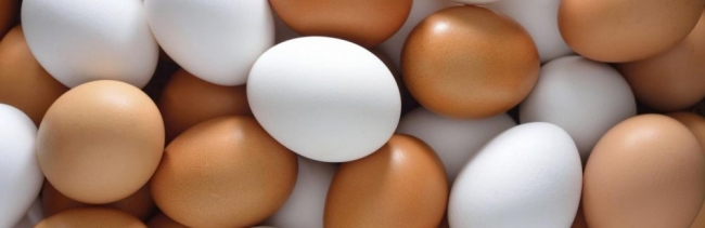 В Ростовской области из-за проблем с документами на границе задержали крупную партию яиц