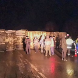 ДТП с автобусом под Рязанью: двое пострадавших – в реанимации