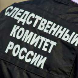 В Ростове по факту смертельного падения малышки с 6-го этажа проводится проверка