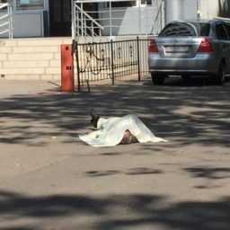 Таксист умер посреди улицы по пути от магазина к своей машине в Ростовской области