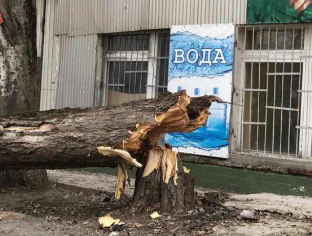 Мощный штормовой ветер спрогнозировали для жителей Ростова