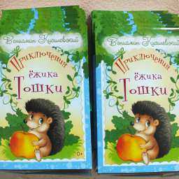 Писатель из Ростова написал детскую книжку про Ежика Тотошку