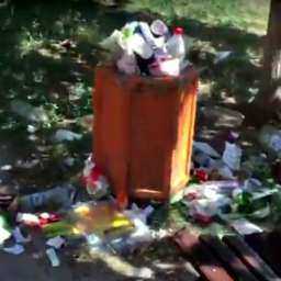 Горы зловонного мусора в городской аллее шокировали жительницу Ростова