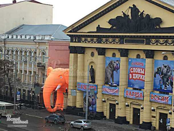 Апельсиновый слон огромных размеров притаился у цирка в Ростове