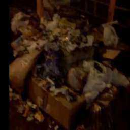 Смирившуюся с гниющим мусором в центре города власть хотят поменять жители Ростова