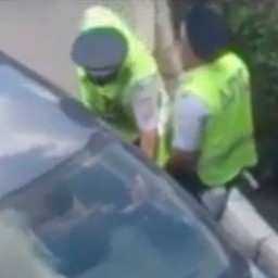 Автоледи оплатила штраф в кустах ростовского двора и попала на видео