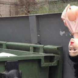 Поматросил и бросил: надувную куклу для секс-игр предал страстный ростовчанин