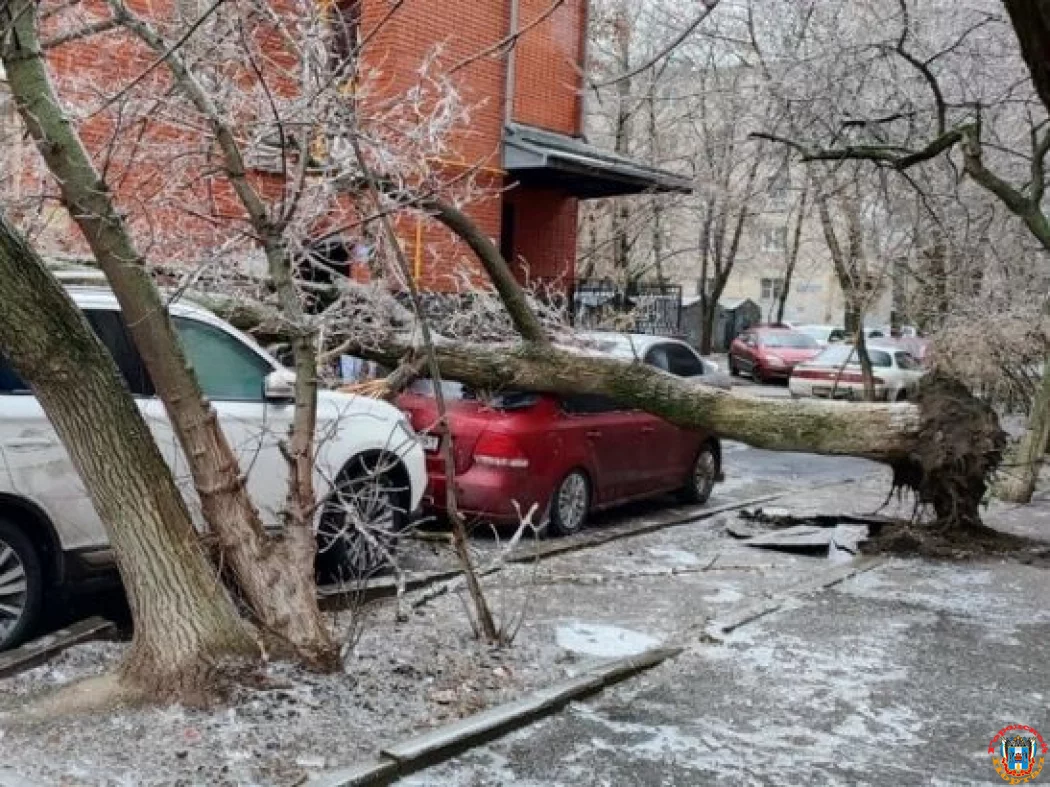 В Ростове на Варфоломеева дерево упало на легковушку