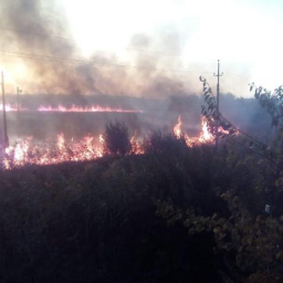 Под Ростовом тушат крупный ландшафтный пожар