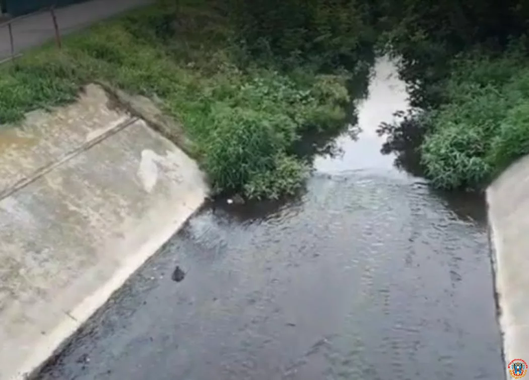 Минприроды начало проверку после гибели уток в русле Темерника