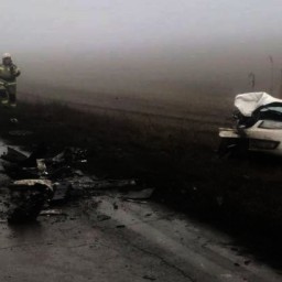 В Ростовской области в ДТП из-за тумана пострадали два человека