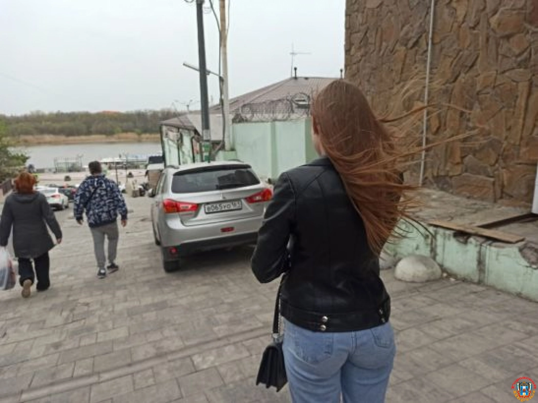 В Ростовской области ветер усилится до 72 километров в час в ближайшие сутки