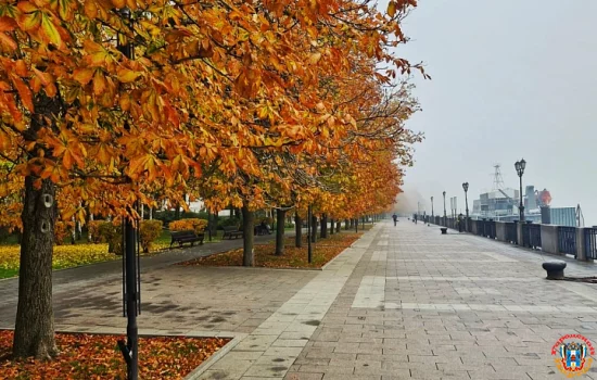 Прохладную и пасмурную погоду синоптики обещают в Ростове в понедельник 24 ноября