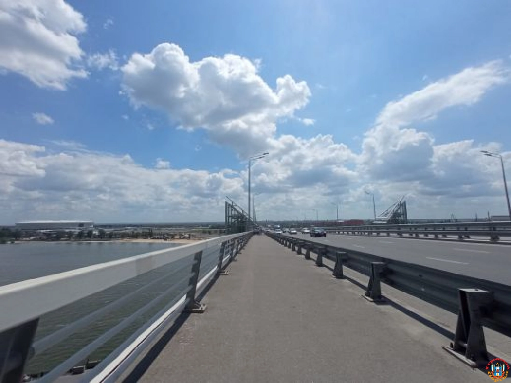 На содержание шести мостов в Ростове потратят более 1,5 млн рублей