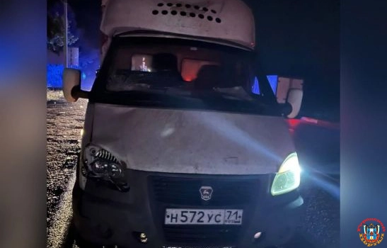 Водитель грузовика насмерть сбил пешехода на трассе Ростов - Ставрополь