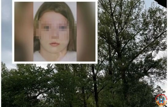 Волонтеры рассказали о поисках пропавшей в Ростовской области 14-летней школьницы