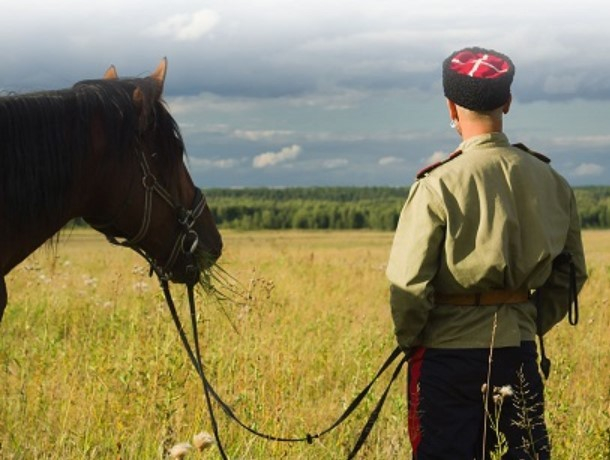 Казаки в Ростовской области не знают, что делать с бесплатной землей
