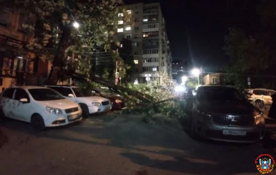 В центре Ростова старое дерево упало на припаркованные автомобили