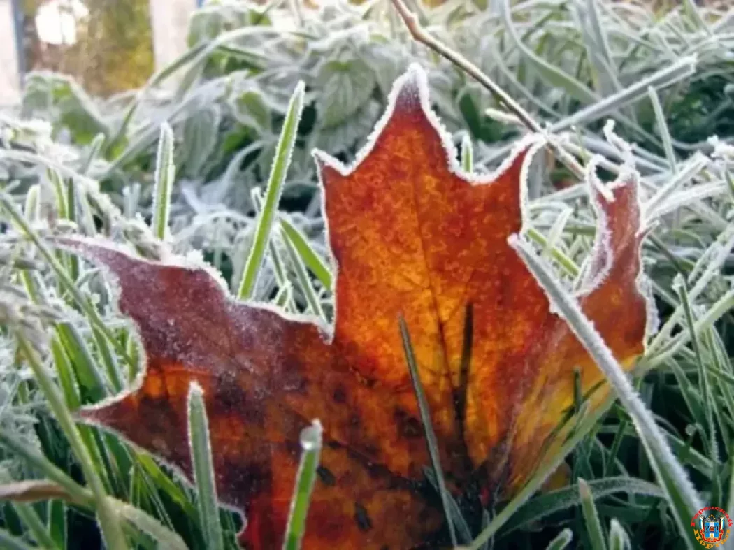 Заморозки и сильный ветер в ближайшие сутки накроют Ростовскую область