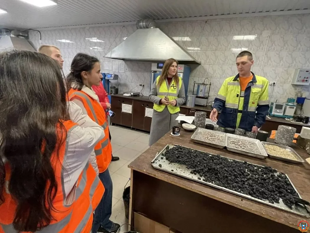 НКО Ростовской области привлекли 44 миллиона рублей президентских грантов на социальные инициативы