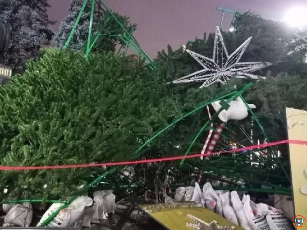 В Ростове упавшую новогоднюю елку снова установят в парке Горького
