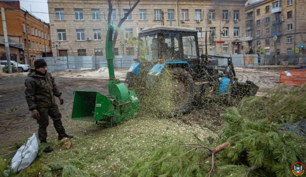 Власти Ростовской области рассказали о штрафах за выброшенные не по правилам новогодние ели