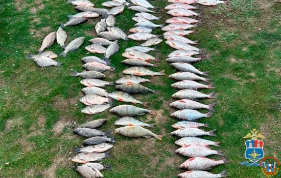 Задержан браконьер с 200 метрами сетей в Ростовской области