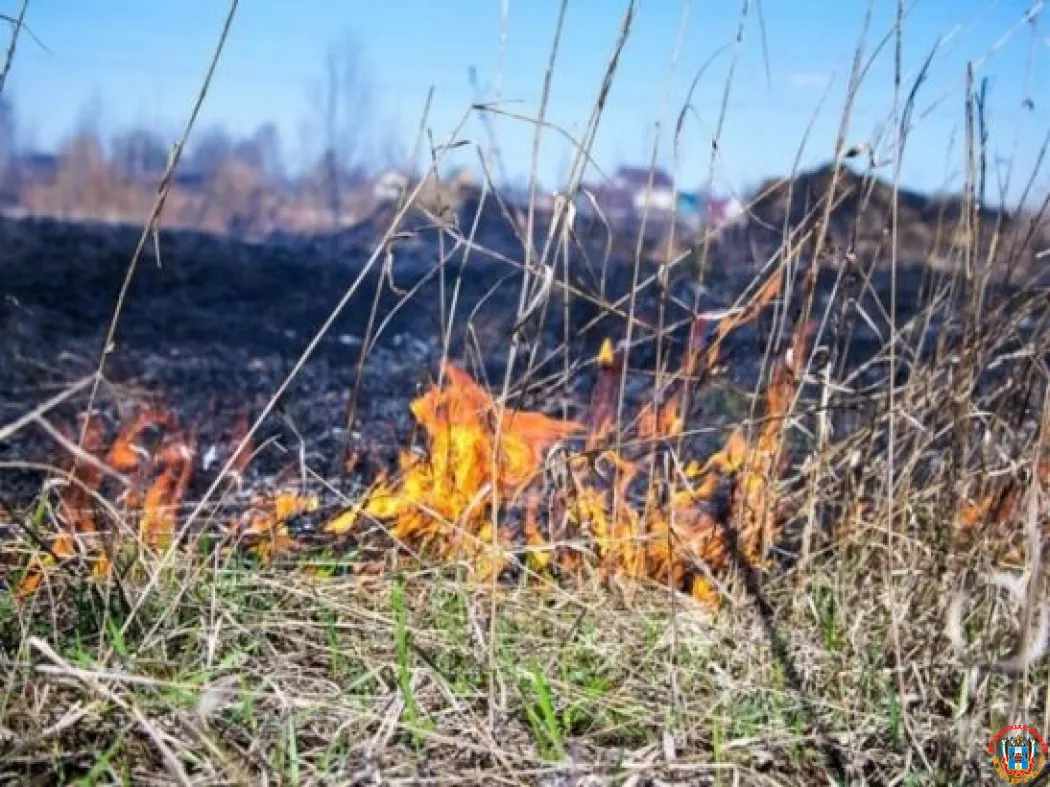 Жителей Ростова и области предупредили о чрезвычайной пожароопасности