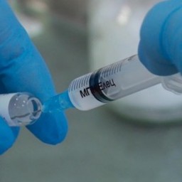 Роспотребнадзор: организм 10% людей не реагирует на вакцинацию