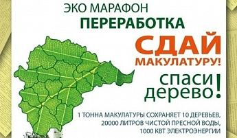 Жителей Ростовской области приглашают на экомарафон по сбору макулатуры